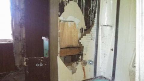 hidden carnage - p-my pictures 019.jpg