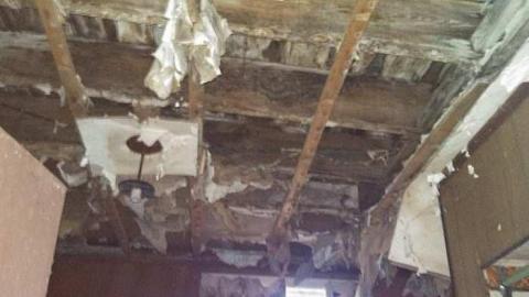 hidden carnage - h-my pictures 021.jpg