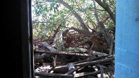 hidden carnage - x-my pictures 022.jpg