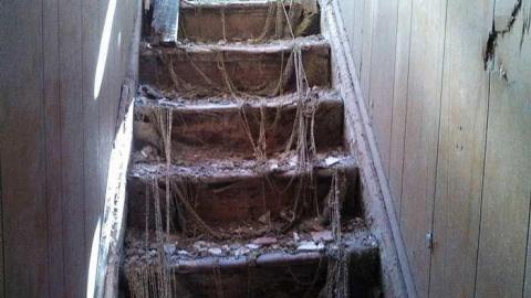 hidden carnage - x-my pictures 023.jpg