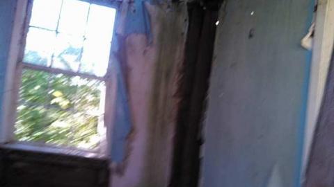 hidden carnage - s-my pictures 026.jpg