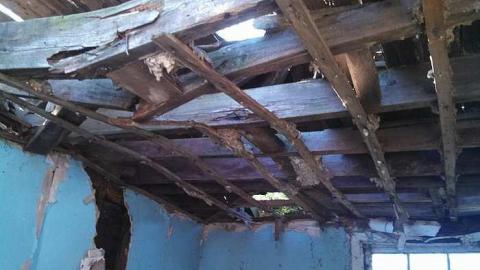 hidden carnage - q-my pictures 027.jpg