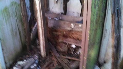 hidden carnage - p-my pictures 029.jpg