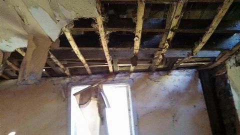 hidden carnage - b-my pictures 033.jpg