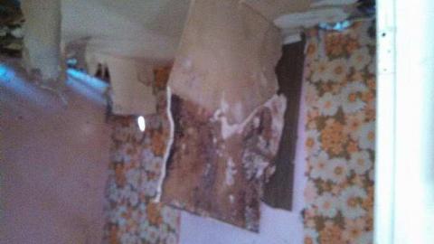 hidden carnage - q-my pictures 035.jpg