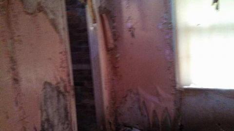 hidden carnage - i-my pictures 034.jpg