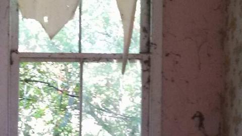 hidden carnage - g-my pictures 041.jpg