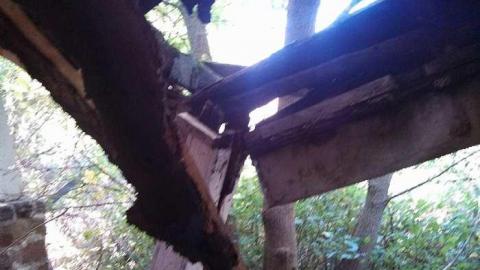 hidden carnage - z-my pictures 044.jpg