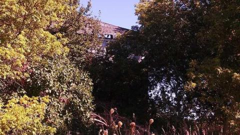 hidden carnage - h-my pictures 047.jpg