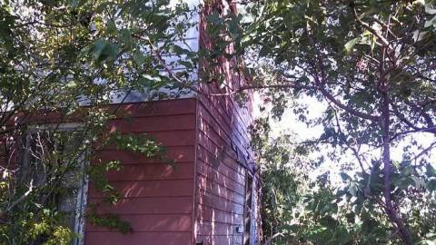 hidden carnage - f-my pictures 049.jpg