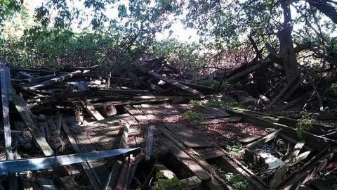 hidden carnage - o-my pictures 050.jpg