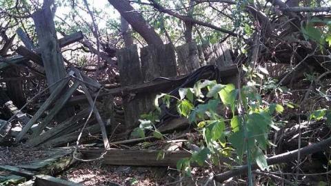 hidden carnage - s-my pictures 051.jpg