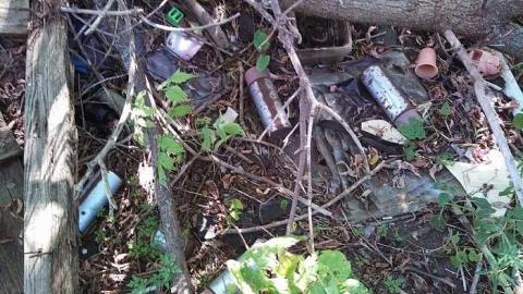 hidden carnage - y-my pictures 052.jpg