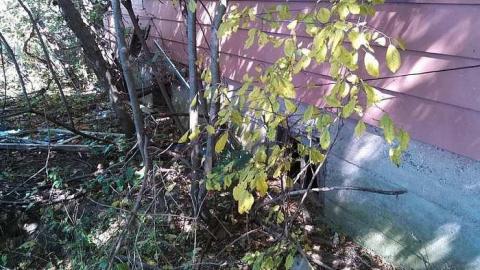 hidden carnage - z-my pictures 059.jpg