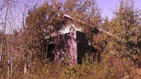 Fruit stand/ cabin - Fruit-stand-Cabin9.jpg