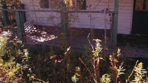 Fruit stand/ Cabin photo 5