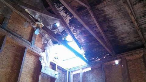 Fruit stand/ cabin - Fruit-stand-Cabin12.jpg