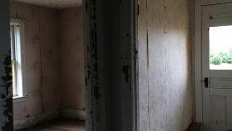 Photo from Creepy Feeling