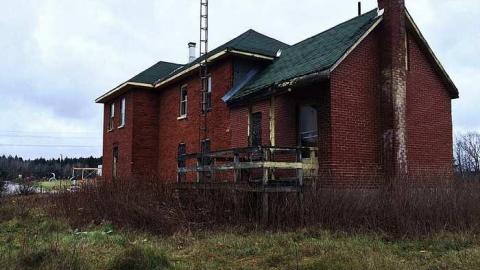 Creepy Feeling - v-IMG_6205.jpg