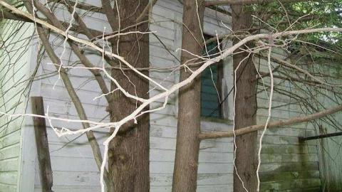 School House - Clayton-School-House1.jpg