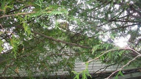 Clayton School House photo 3