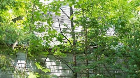 School House - Clayton-School-House4.jpg