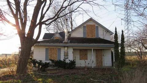 Farmer informer - c-Jb1.jpg