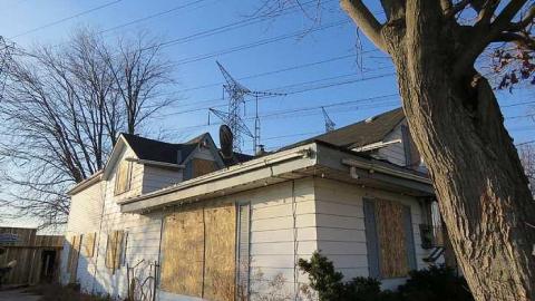 Farmer informer - t-Jb2.jpg