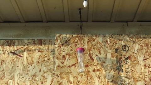 Farmer informer - y-Jb8.jpg