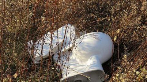 Farmer informer - l-20151115153117.jpg