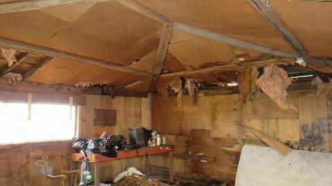 Farmer informer - d-Jb11.jpg