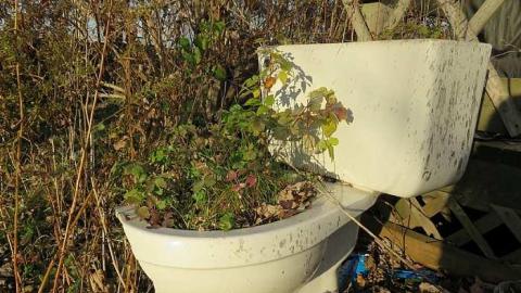 Farmer informer - d-Jb12.jpg