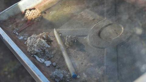 Station is Closed photo 4