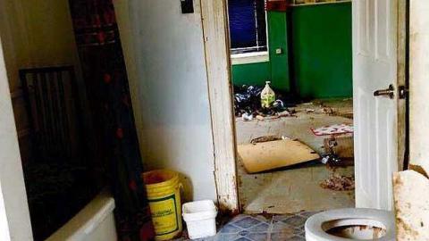 Squatter Heaven - h-5.jpg