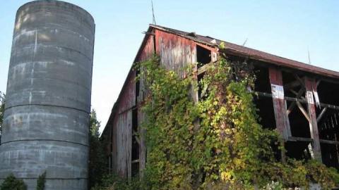 October 2010 - Jeremiahs-Field82.jpg