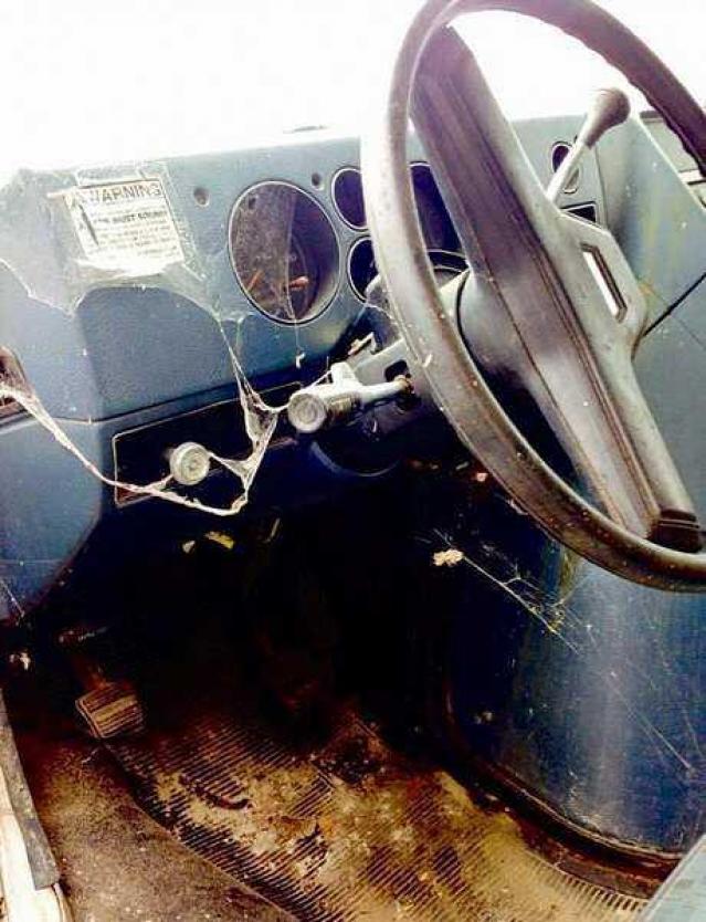 Heart Condition photo 3