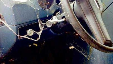 Heart Condition photo 3