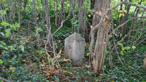 Bethesda Cemetery - Bethesda-Pioneer-Cemetary12.jpg