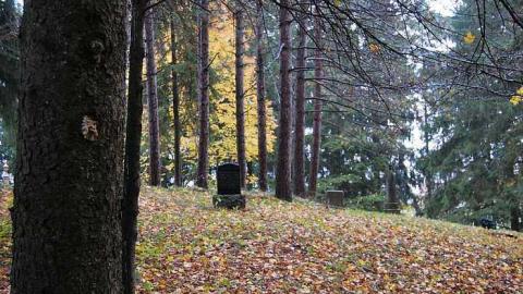Storey's Cemetery - Storeys-Cemetery13.jpg