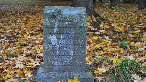 Photo from Storey's Cemetery