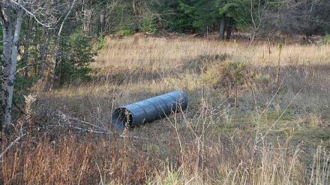 One Last Race - Ghost-Speedway24.jpg