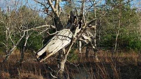 One Last Race - Ghost-Speedway30.jpg