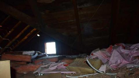 Nov152015 - e-19.jpg