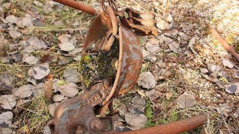 Nov 2015 - Barn-Fort2.jpg