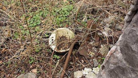 Nov 2015 - Barn-Fort4.jpg