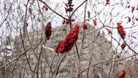Nov 2015 - Barn-Fort10.jpg