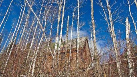 Wishart Cabin photo 5