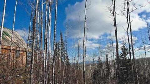 Wishart Cabin - Wishart-Cabin14.jpg