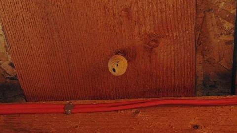 Wishart Cabin - Wishart-Cabin6.jpg