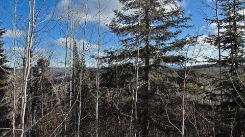 Wishart Cabin - Wishart-Cabin12.jpg